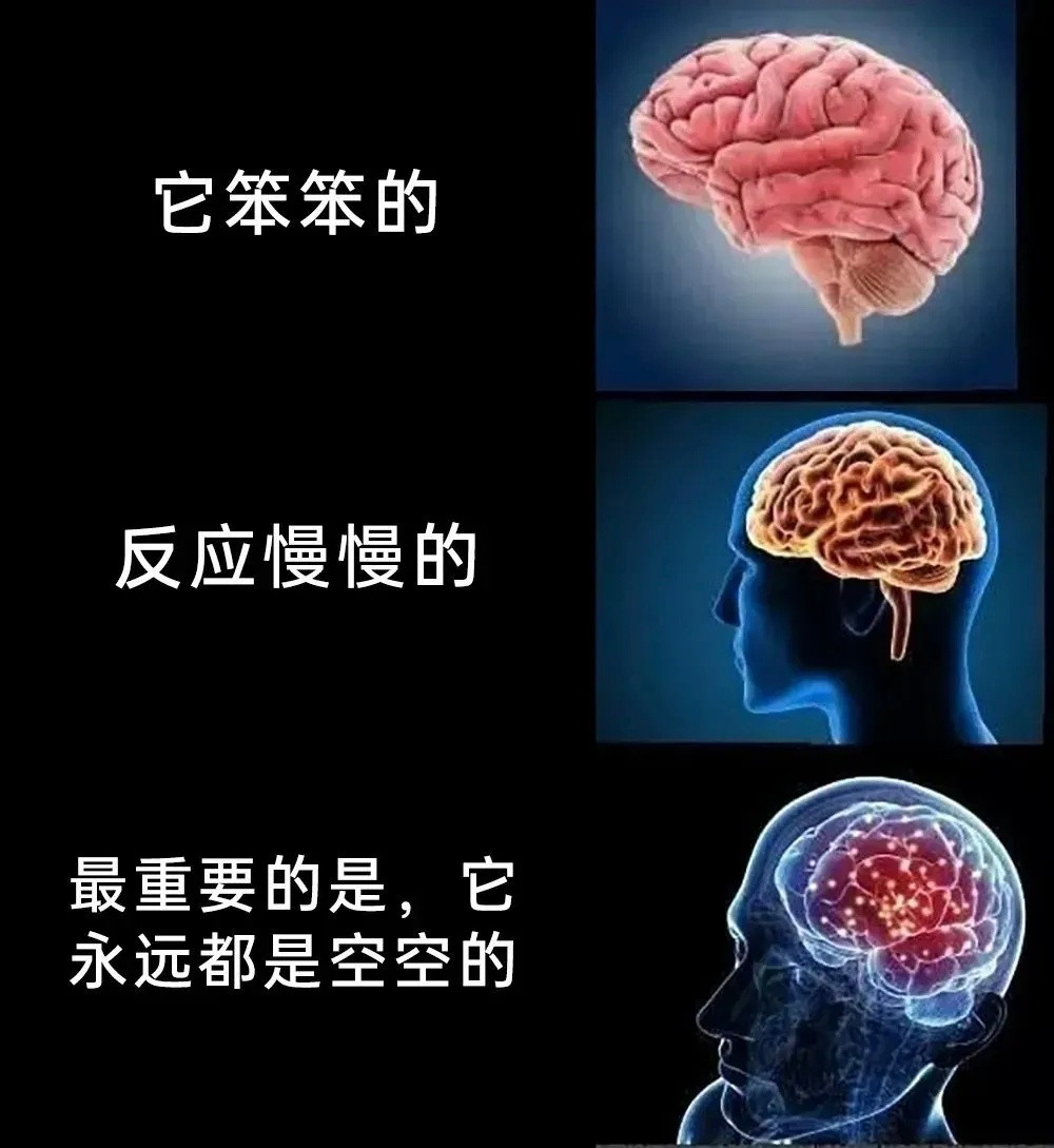 为啥每天活的像傻子一样还是很忧愁​​​