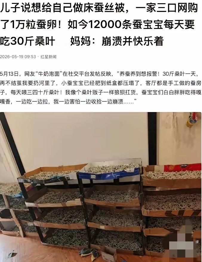 全网最硬爹妈！武汉一家三口在家养上万只蚕，只为圆孩子心愿不得不说武汉这对父