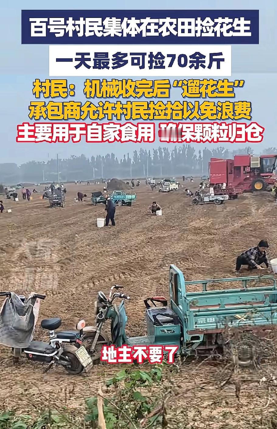 “这场景好壮观，堪比百万雄师！”河北邢台一个农田里花生成熟了，结果机器收割不干净