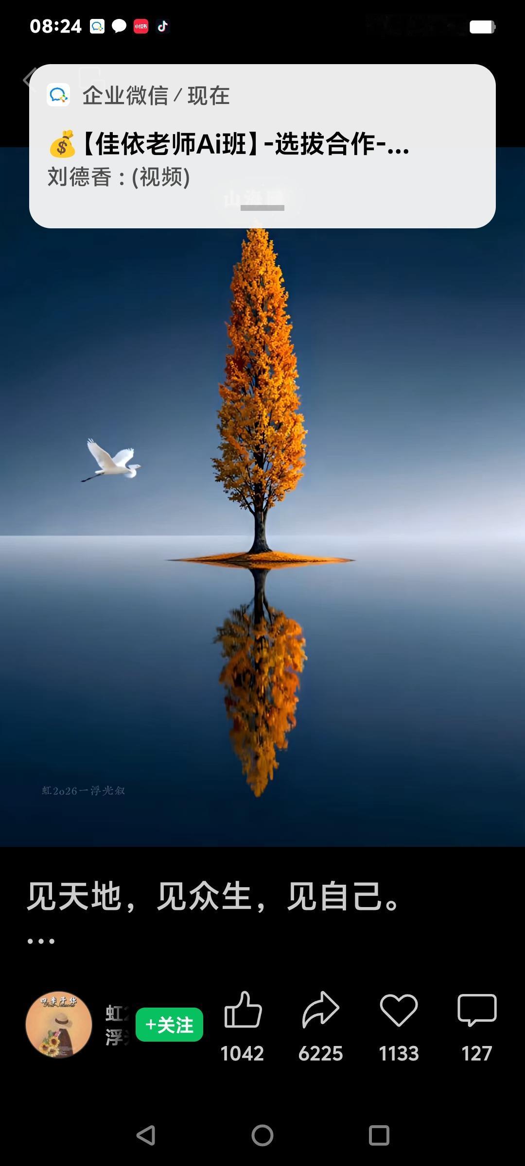 生命中美好的一瞬间，就像夜空中闪烁的流星，短暂却璀璨。池塘绿水如镜，新荷叶像