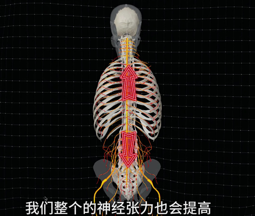 腰椎间盘突出腰突急性期，疼到翻身都喊救命，只能像块板砖钉床上[跪了]今天就来讲