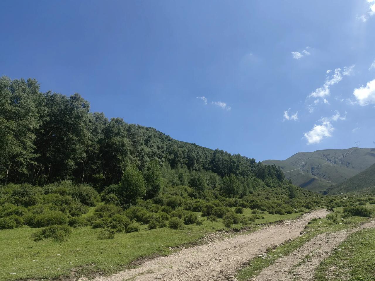 青海人浪山，那可是夏日限定的快乐！青海夏季短，满眼绿色太稀罕，大家自然忙着结伴去