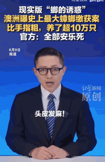 “人为财死，鸟为食亡。”澳大利亚一处普通养殖场内，密密麻麻养殖着超10万只手掌大