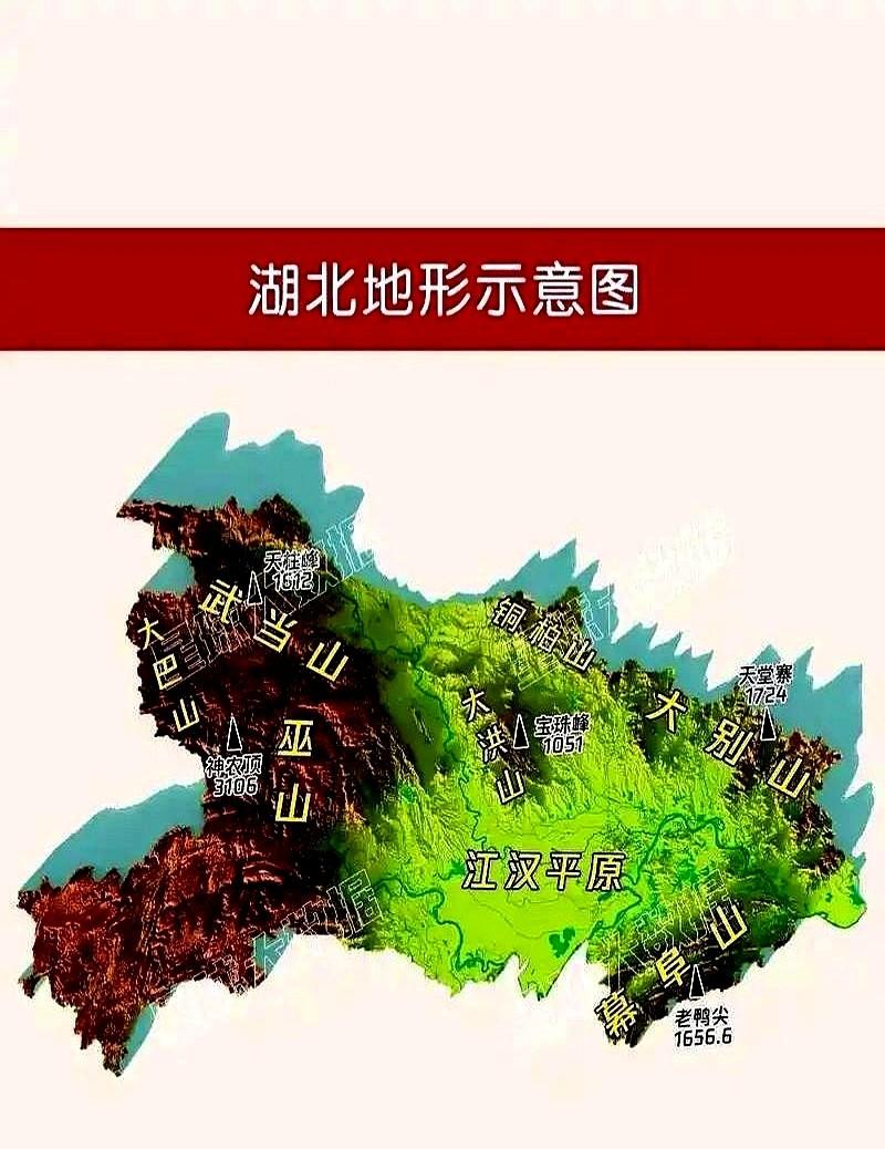 最近网上一份关于湖北拔尖人才的数据火了。清晨的家长端着热干面讨论孩子成绩，家里