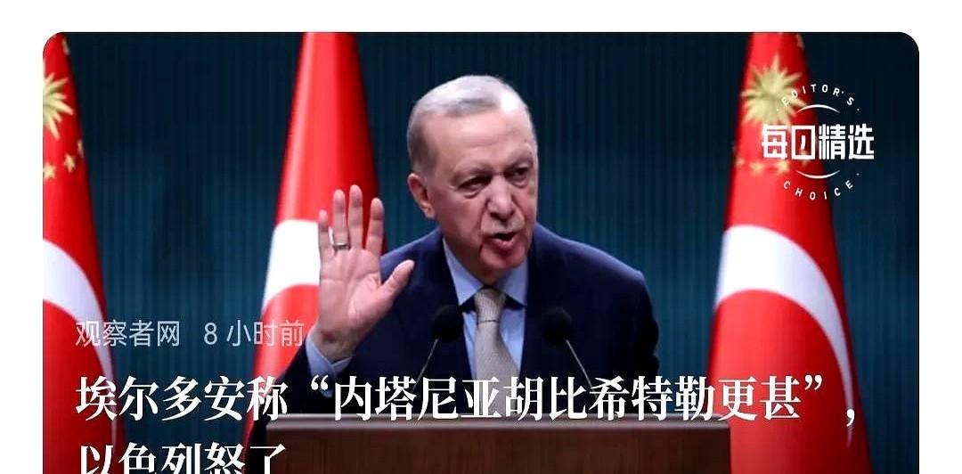 埃尔多安不错，他站出来了。土耳其毕竟是北约成员国，这身份摆在那儿，手里握着地理