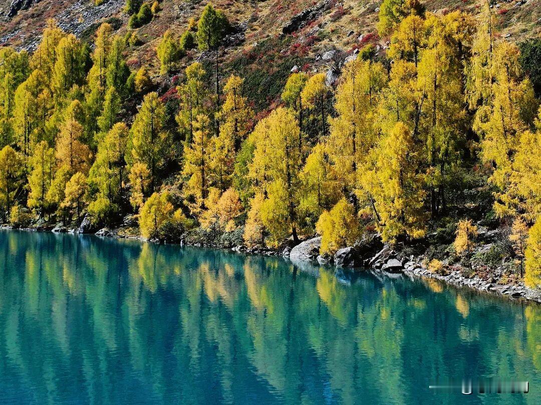 人生路上，为了那碎银几两，我们不停地奔波忙碌着。然而，真正让生活变得美好、让心灵