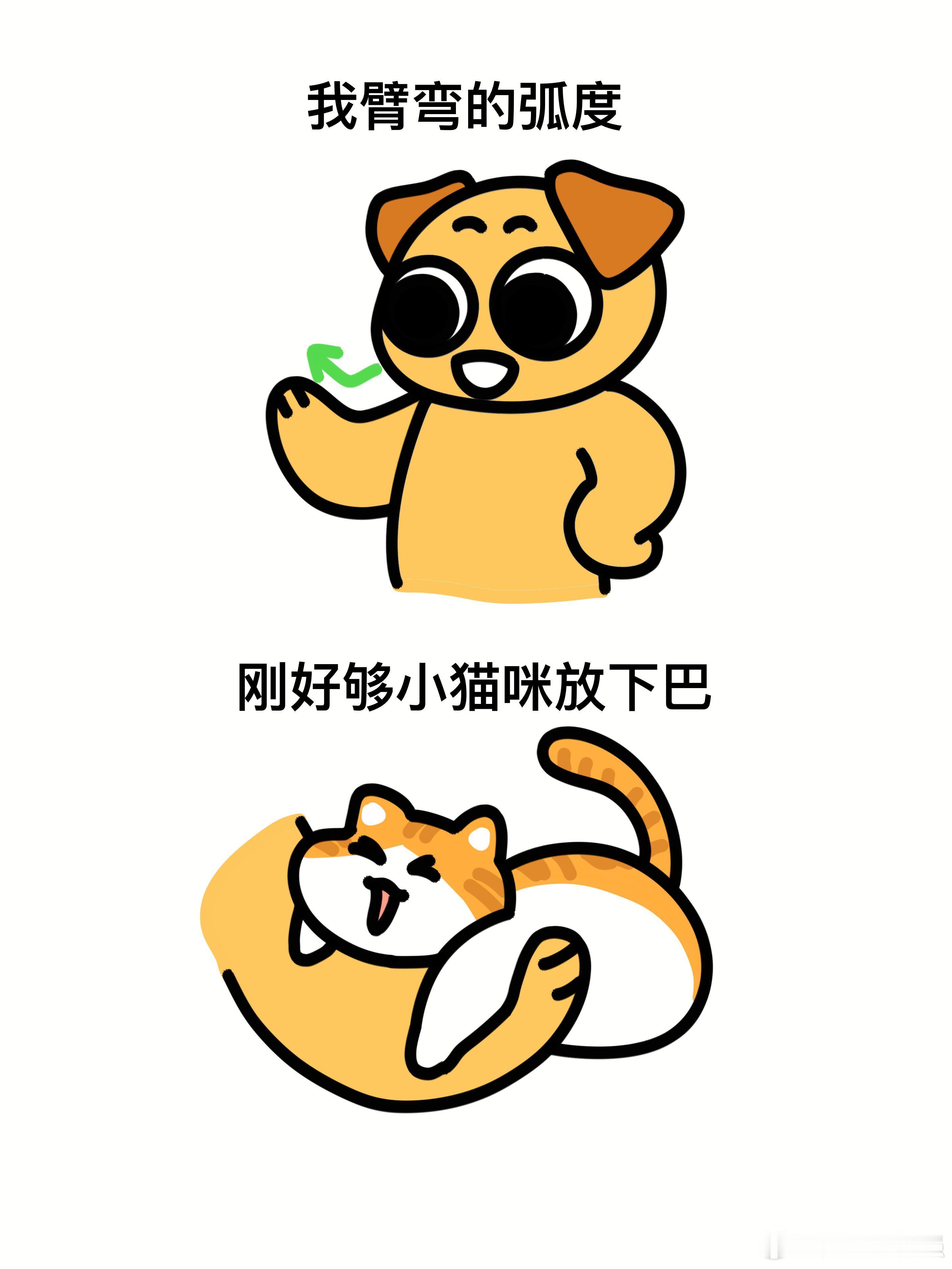 人类是最符合猫体工学的设计人类是最符合猫体工学的设计​​​