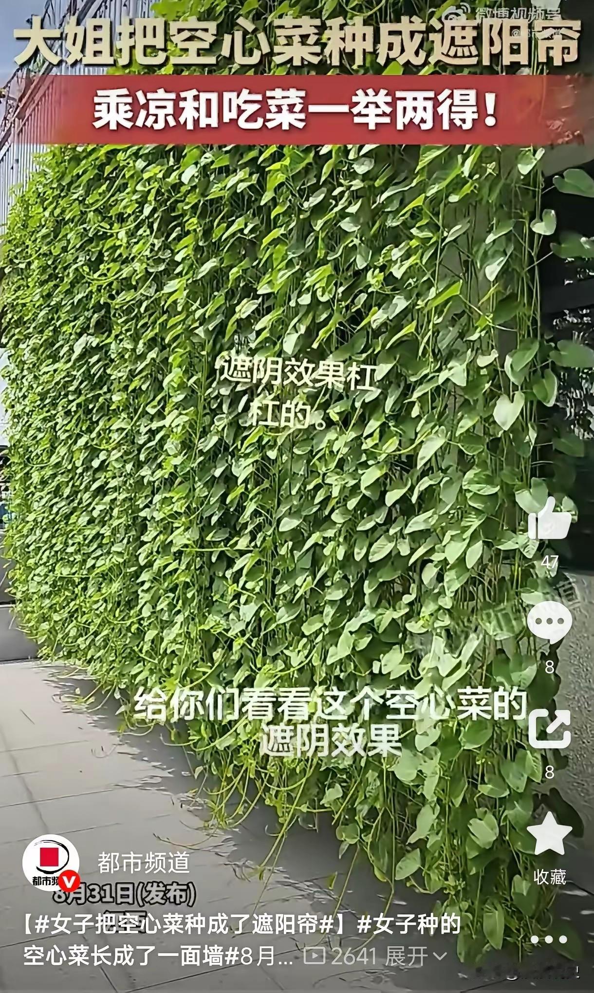 人怎么这么聪明！江西，一女子家里夏天西晒严重，屋里热得像蒸笼。她没装遮阳帘，也没