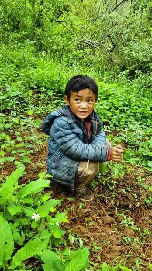 河南周口这事儿太戳心窝子！9岁娃小汪半年内痛失双亲，还查出肾病综合征要长期治病，