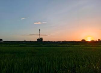 也许是上了年纪，我真的没办法理解现代娃儿的做法。昨天晚上和女儿吵了一架，女儿