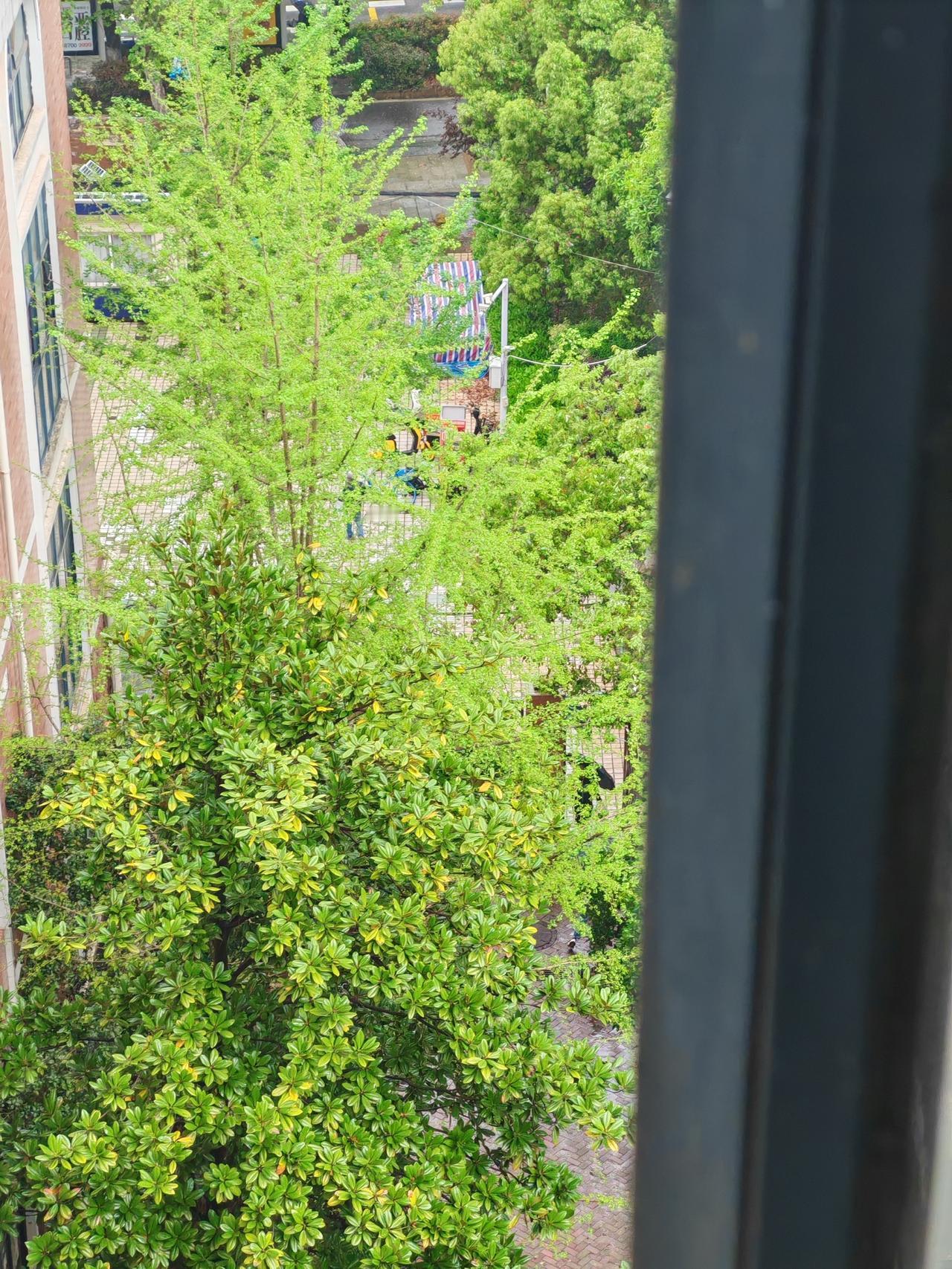 1.妈妈发疯，一是自己的体力到达了极致，已经撑不住了。二是家庭明明有闲人，跟装