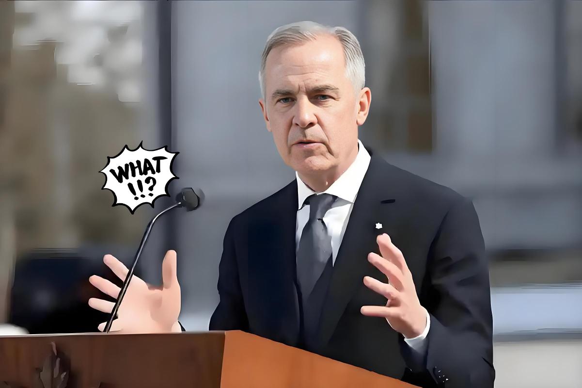 就在昨天，加拿大总理公开表示！11月14日，加拿大总理卡尼公开表示，美国