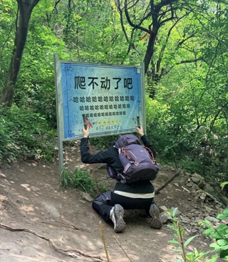 在嵩阳书院通往峻极峰的半山腰步道上，原本立着一块写着“爬不动了吧，哈哈哈哈哈”的