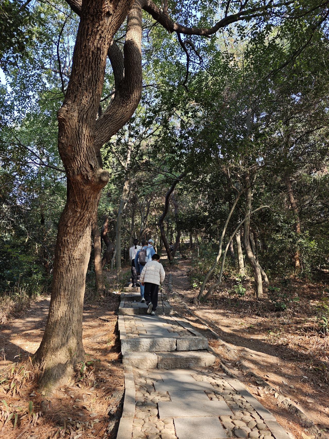 我决定了不鸡娃了！小学二年级，周末两天。周六一天爬山，晚上7点才回来；周日