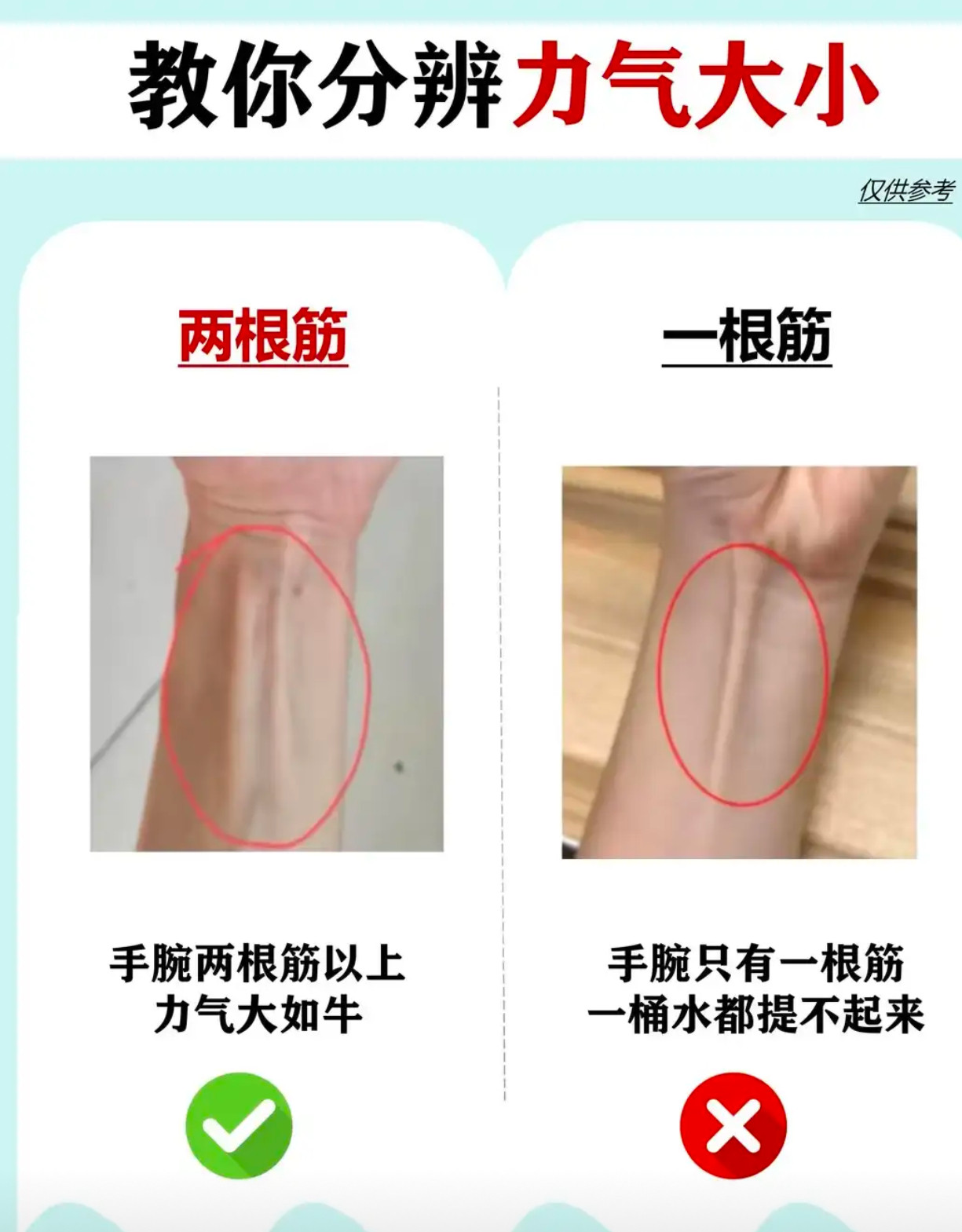 看手腕筋数，秒辨力气大小？​​​