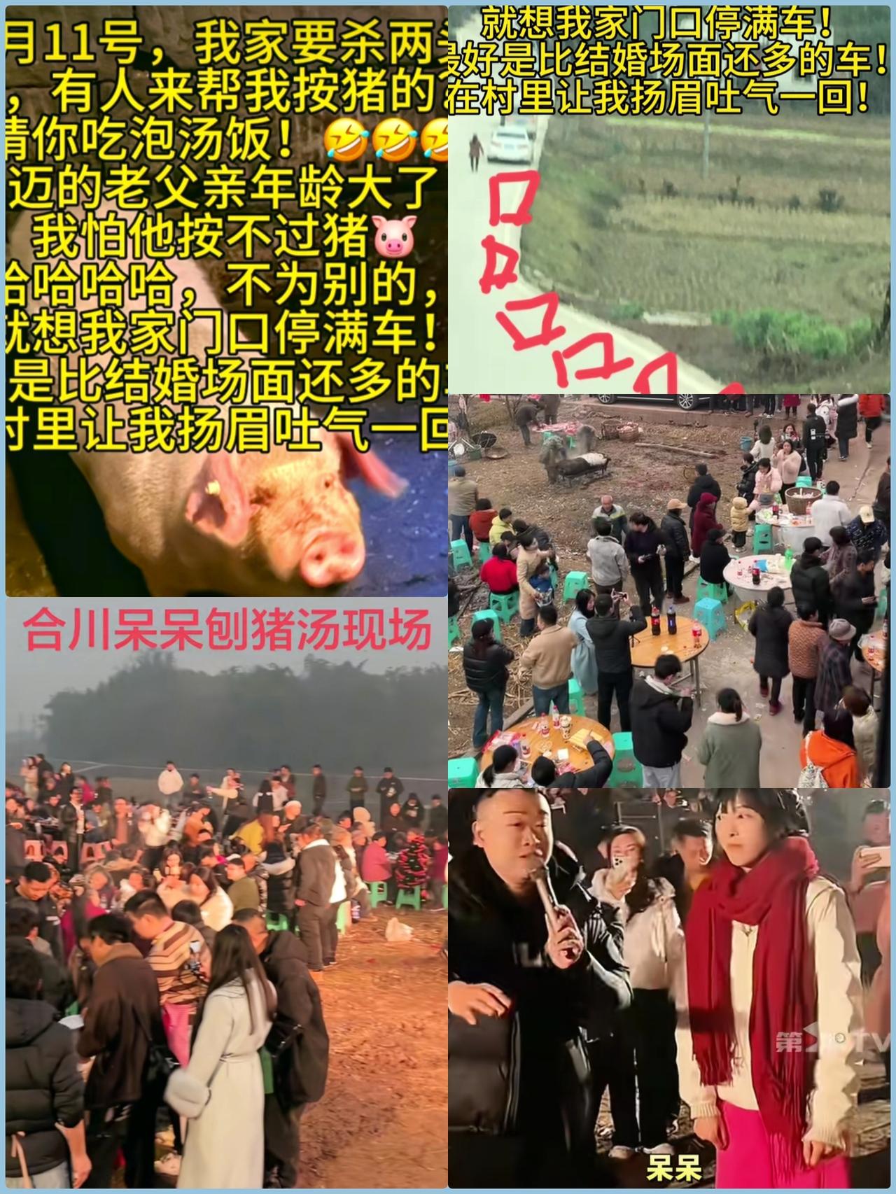 这事儿太有意思了！重庆女孩随口发的求助，竟演变成一场千人“按猪”的乡村盛宴，堪称