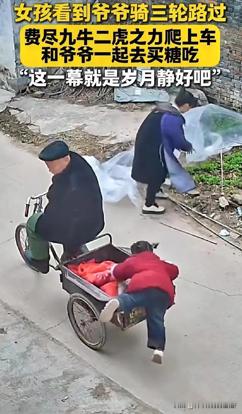 小女孩看到老人骑着小三轮从家门口经过，急忙嚷嚷着要坐车，老人见状立马把车停下让她