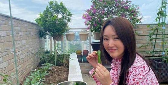 53岁的杨钰莹，如今住在深圳一套价值约3000万元的顶层豪宅里，对她来说，眼下最