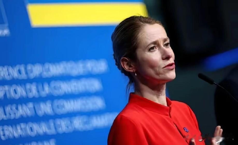 欧盟那个“铁娘子”卡拉斯真是有意思，前脚刚开完会承认“没有任何欧洲国家能单挑