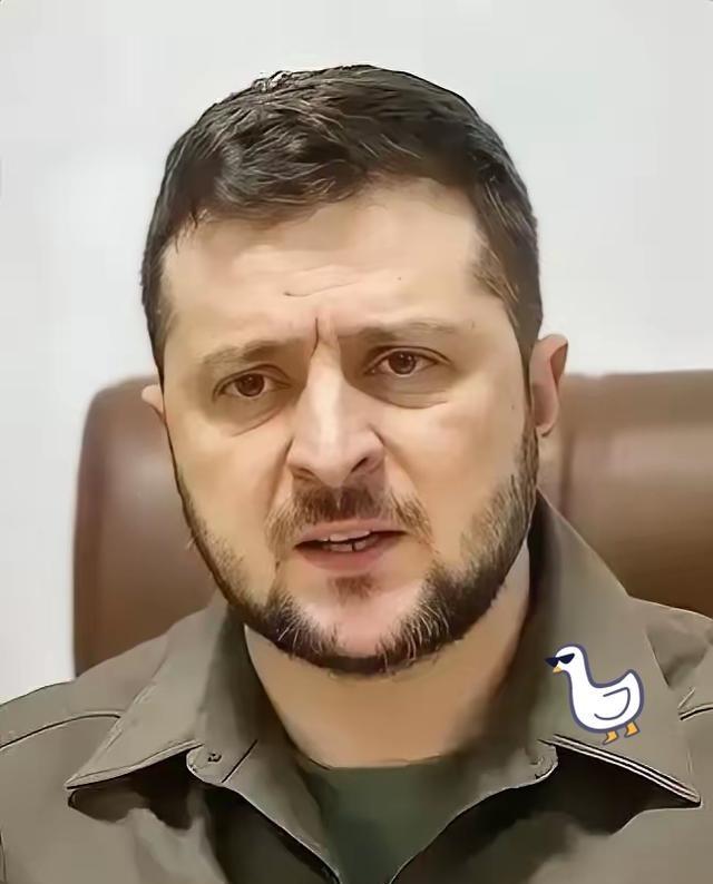 泽连斯基公布“和平三部曲”：美欧援助承诺未兑现，乌克兰独木难支