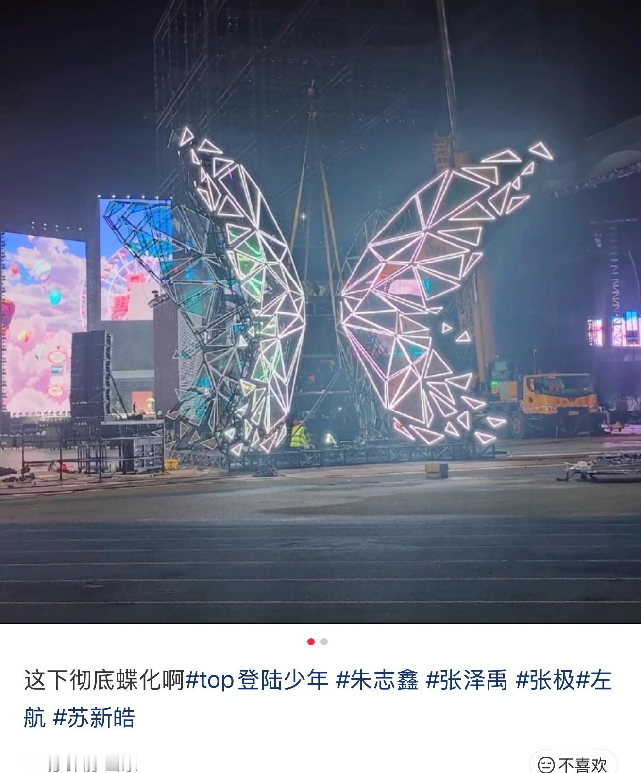 这么大一个蝴蝶​​​