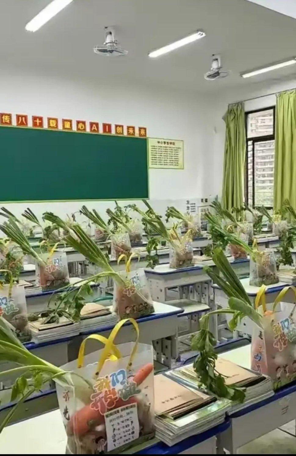 班主任看到这一幕，估计头都会大吧？