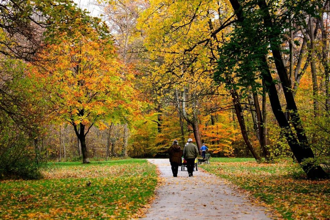 昨天已经过去，明天尚未到来，今天就在脚下。珍惜当下，把握现在，立即行动。不要给人