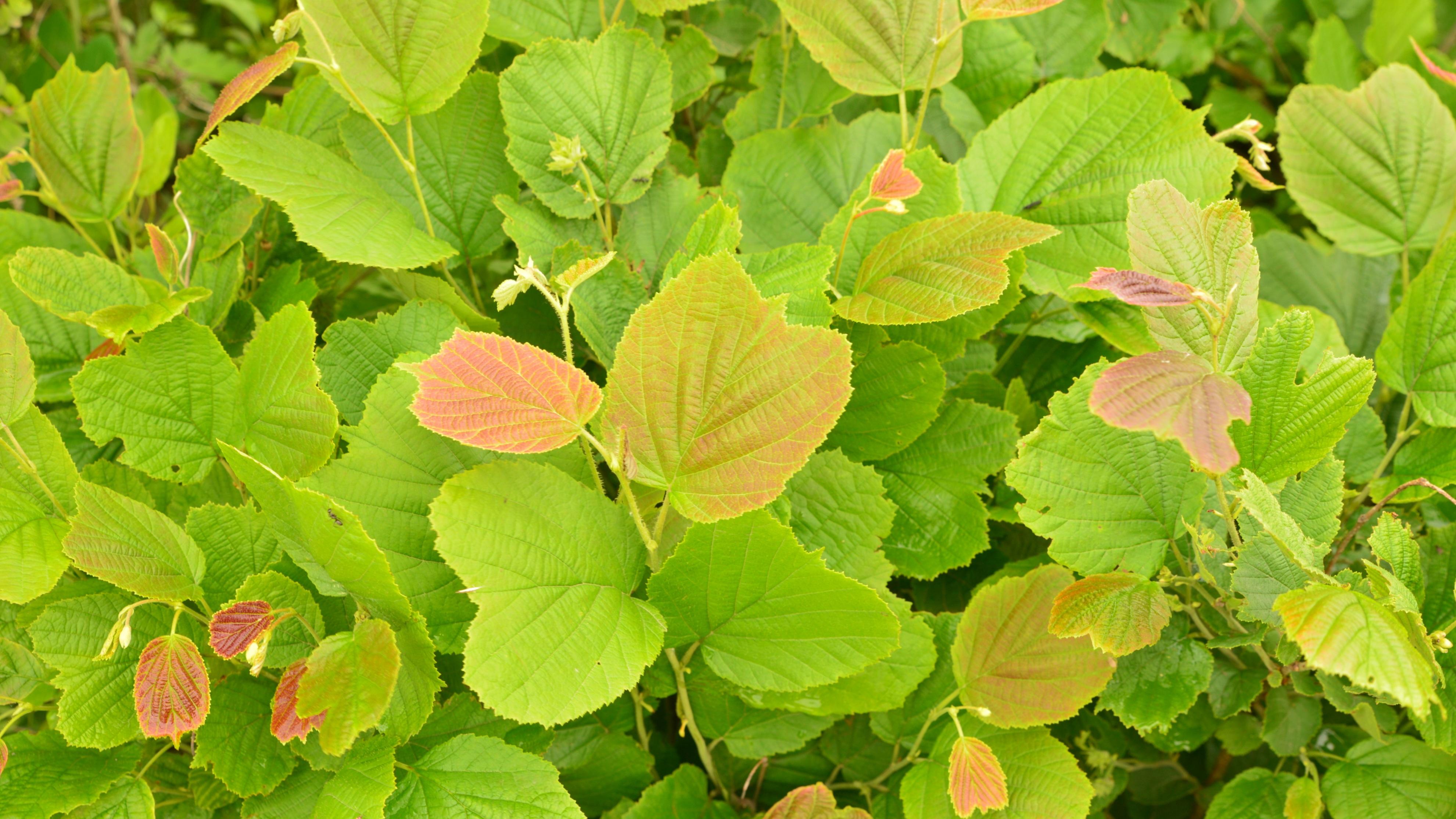 逃离‘精致穷’后，农村价值重估掀起新机遇