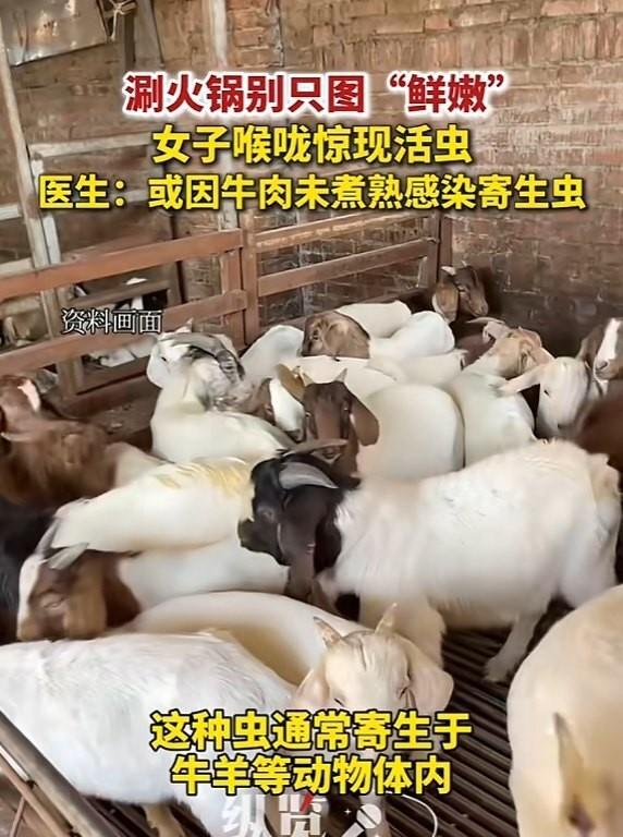 “太吓人了！”近日，湖北襄阳，一女子吃火锅时，觉得牛肉煮太久了不新鲜，于是在锅内