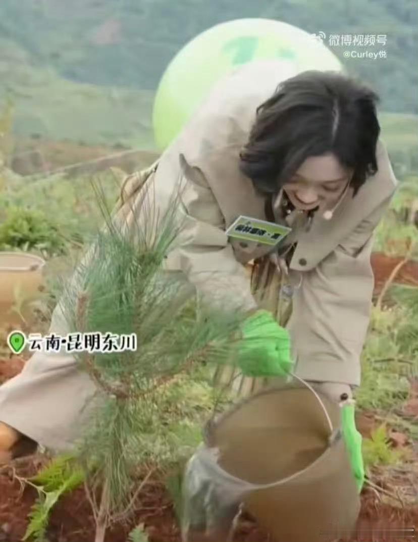希林娜依高种树使不完的牛劲到了种树现场，希林娜依高的“牛劲”藏都藏不住，一铲一土