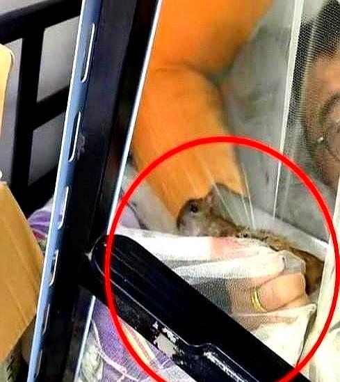 万万没想到！江苏无锡一男子睡觉时感觉有东西在身上爬，迷迷糊糊以为是自己刚养的小