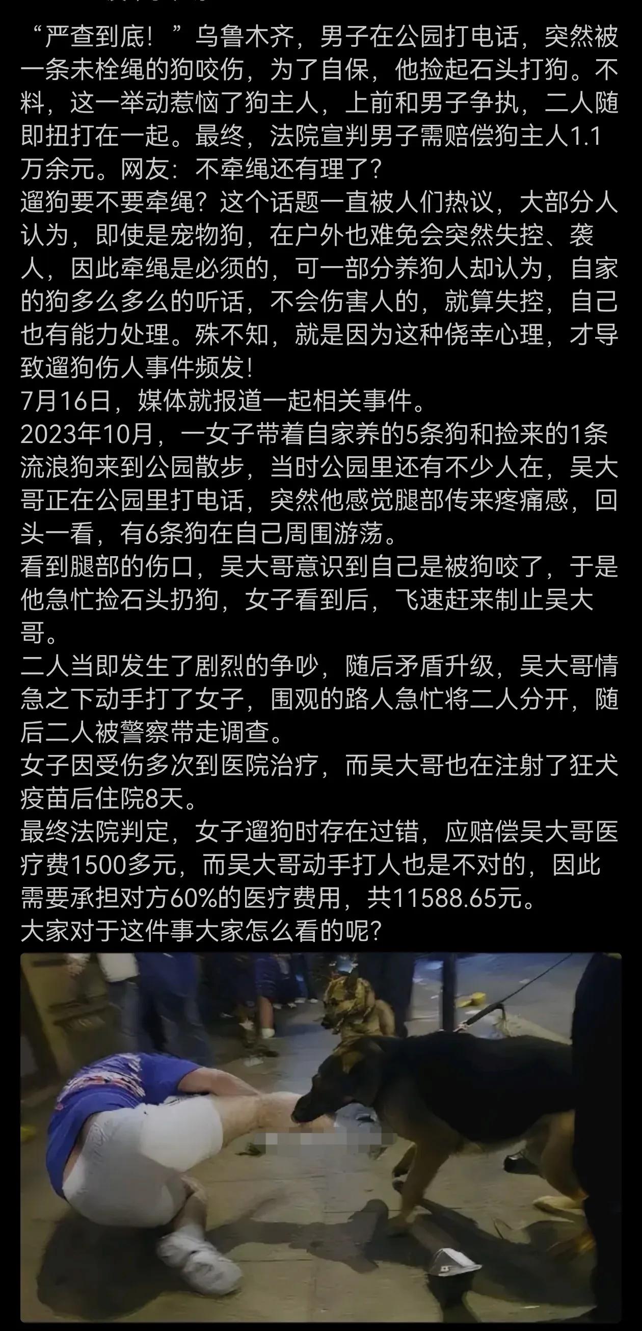 荒谬，真有其事？被狗咬了进行反击还倒赔1万多元？