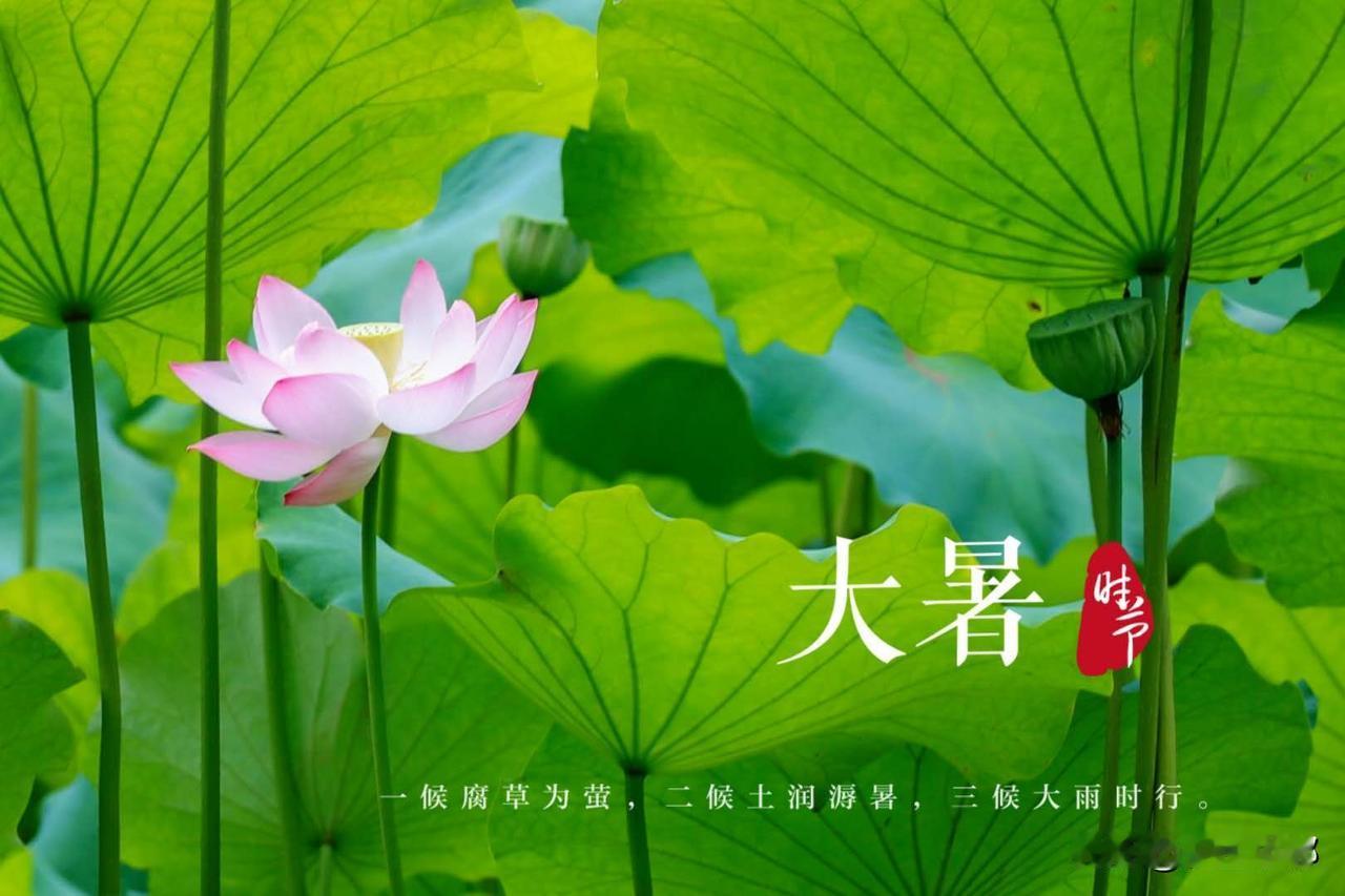 “早大暑凉飕飕，晚大暑热死牛”，7月23日大暑，有啥预兆？早看早准备距离大