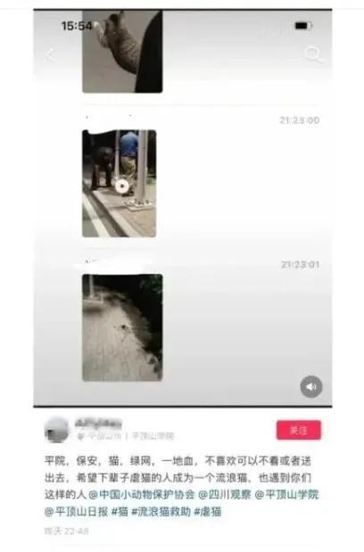这记回旋镖，打得真疼！2024年，平顶山学院的保安因为清理流浪猫狗，被学生网