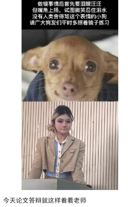 毕业论文答辩时的表情