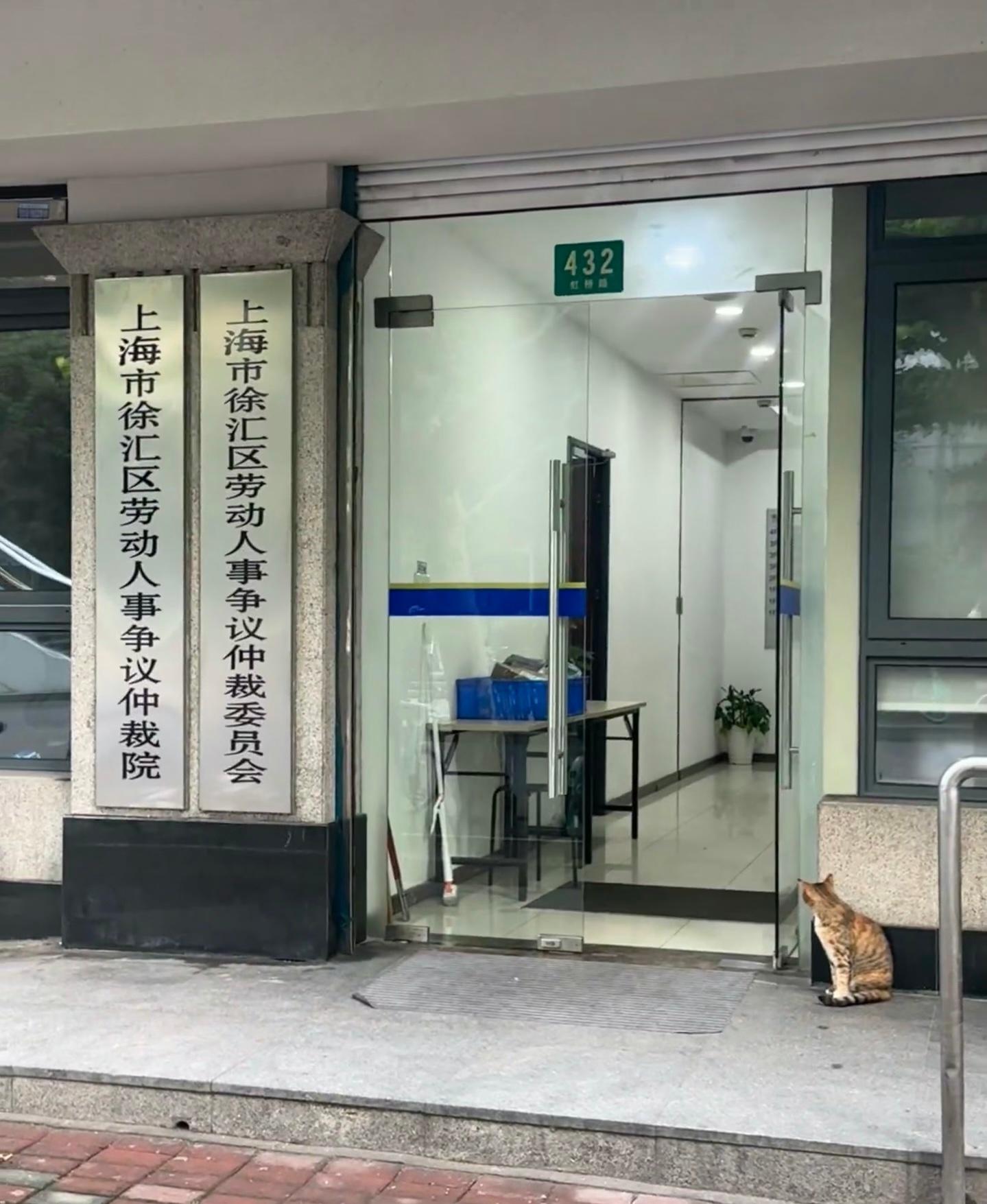 是谁把小猫逼去劳动仲裁了！​​​