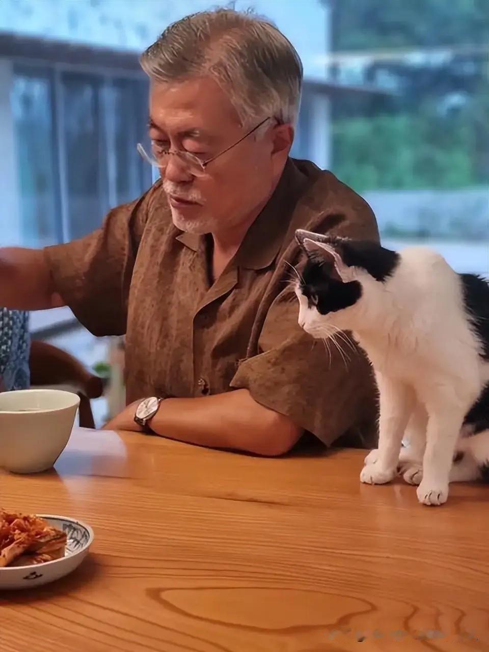 越来越佩服文在寅了！他成了韩国政坛的一个奇迹——首位打破“青瓦台魔咒”的总统。卸