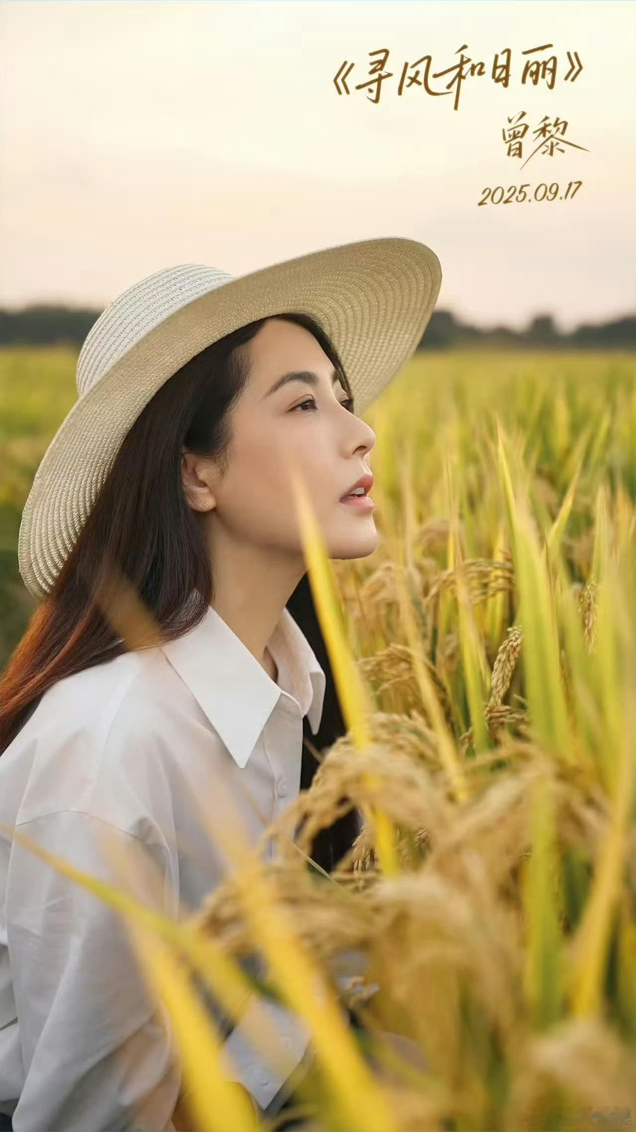 曾黎麦田写真氛围感气血充足的美生日写真太治愈！被暖光包裹的模样，没有刻意精致，满