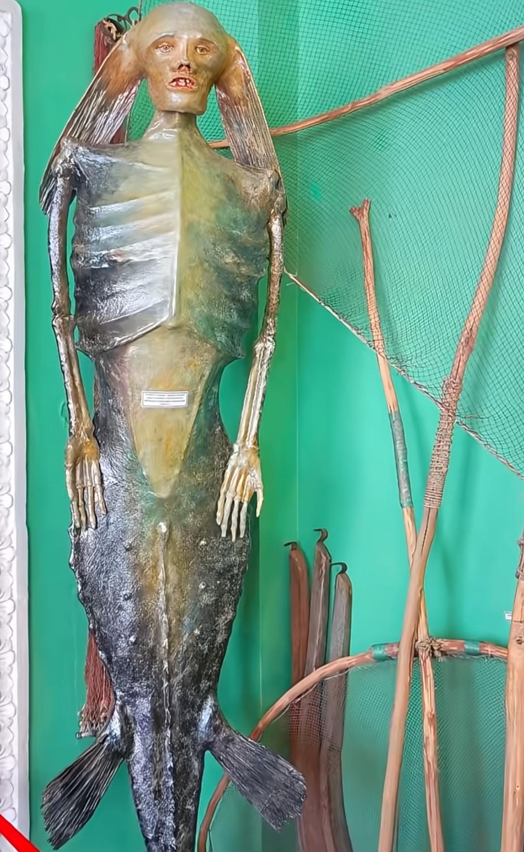 传说里神秘的人鱼标本，到底是不是真的？各种人鱼标本照片流传网络，有的骨骼奇特，