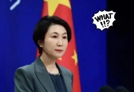 特朗普还想访华？毛宁一句回应，直接让他坐不住了！面对记者提问，毛宁明确表示目前