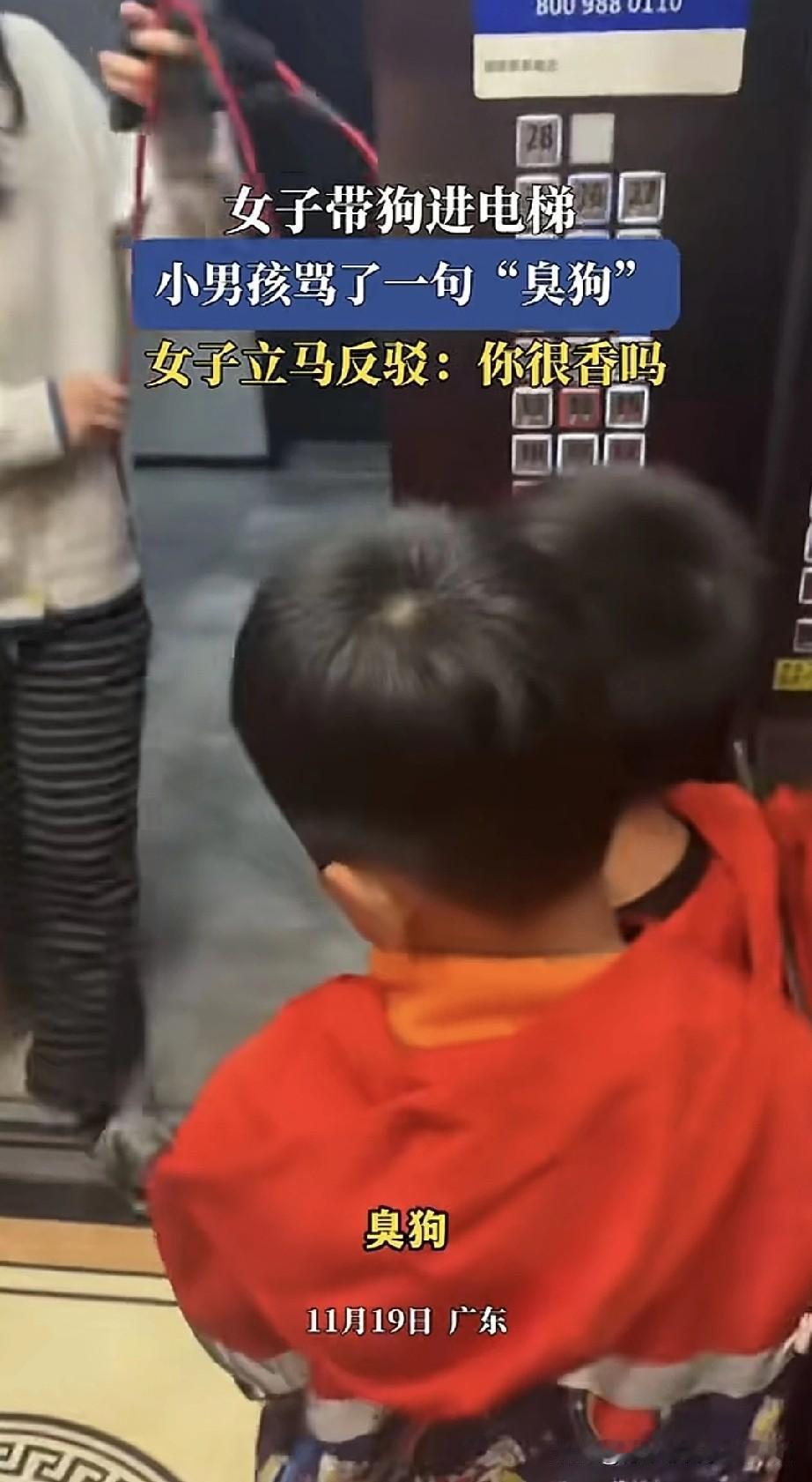 女子带着狗进入电梯，电梯里的两个小孩骂了句“臭狗”。孩子家长当即提醒：“你们两个