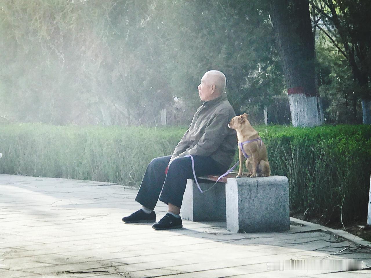 其实，很多老人知道儿女的难处，但是没办法，他要活着，他要生存，只能道德绑架，厚着