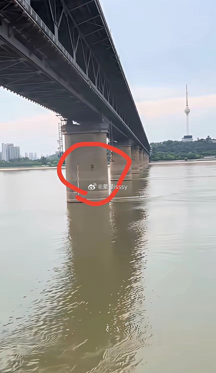 你大爷还是太厉害了
