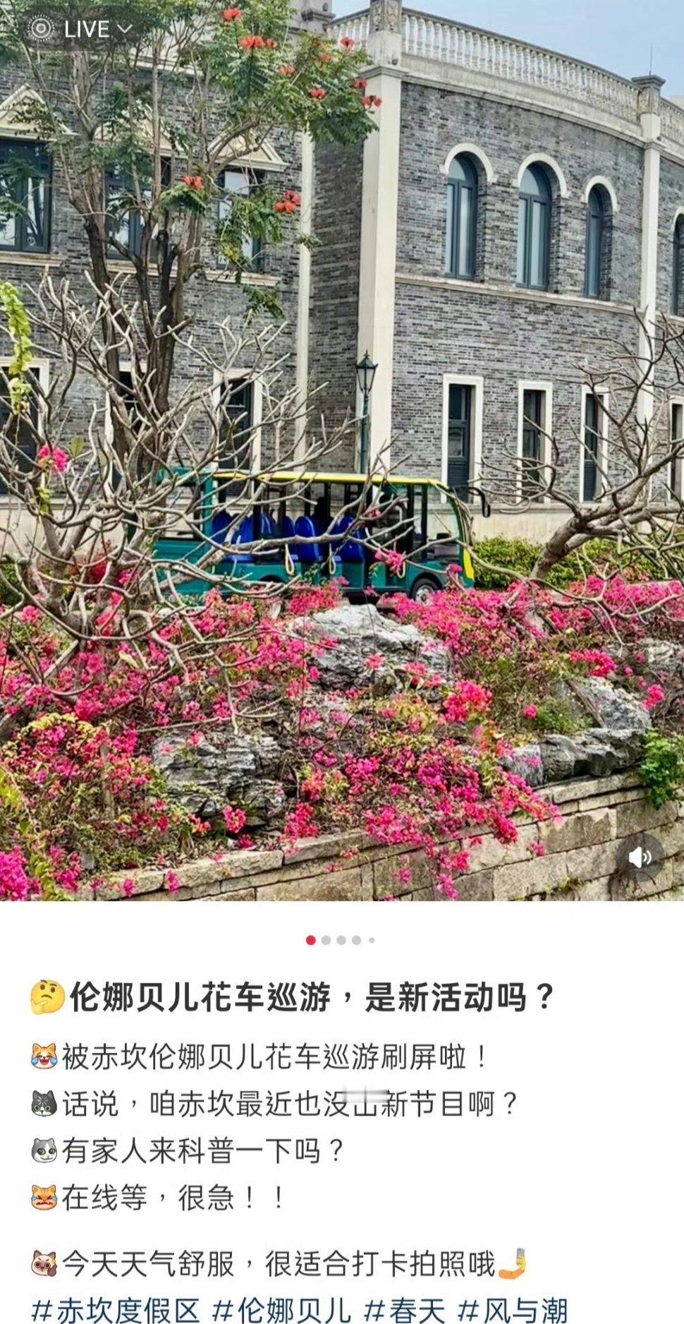 任嘉伦江门赤坎古镇拍《风与潮》，吸引了好多人伦娜贝儿花车巡游​​​