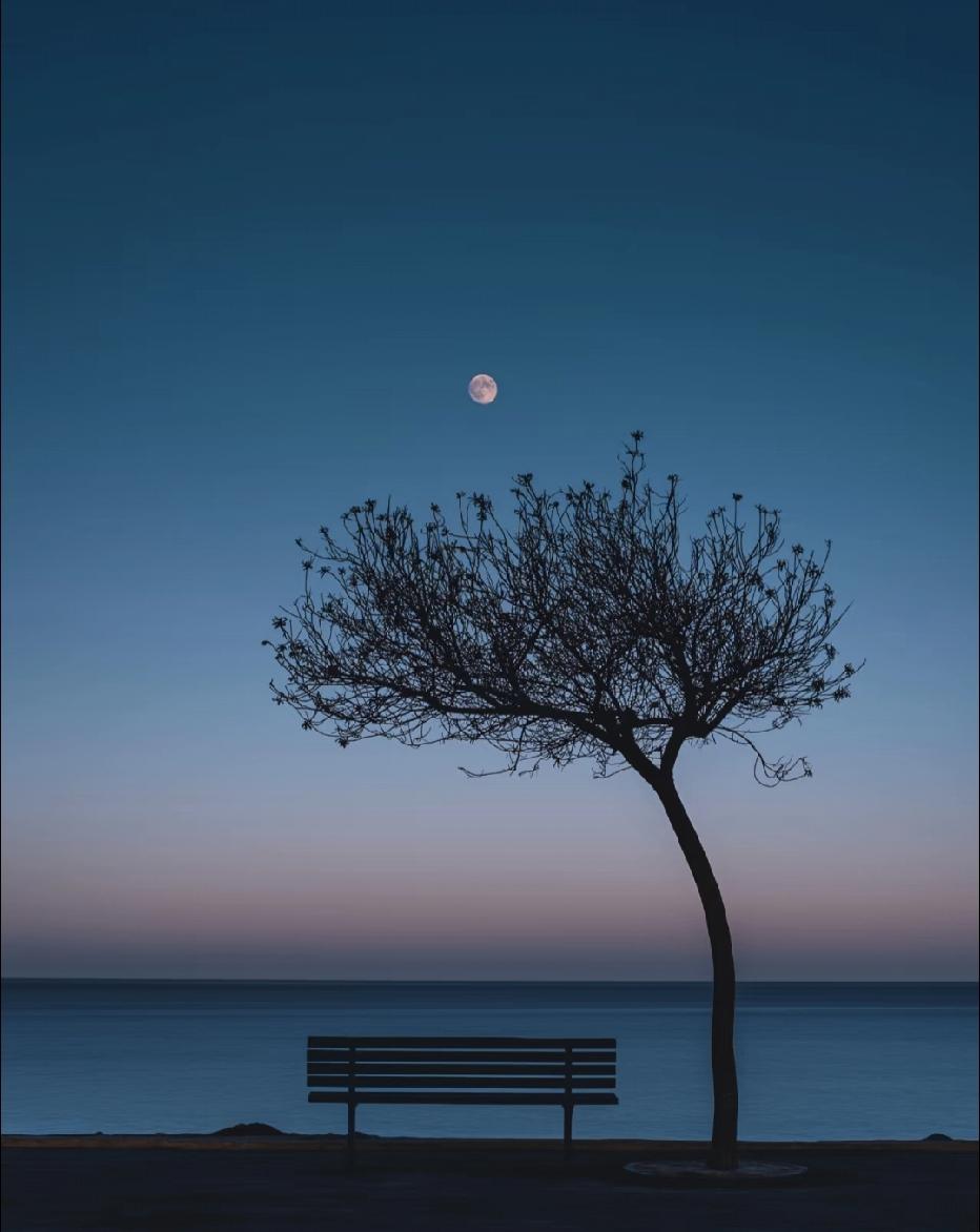 罗翔说：“世上没有任何机会和财富，是靠谦让、低调、守规矩就能得到的。人生最悲哀