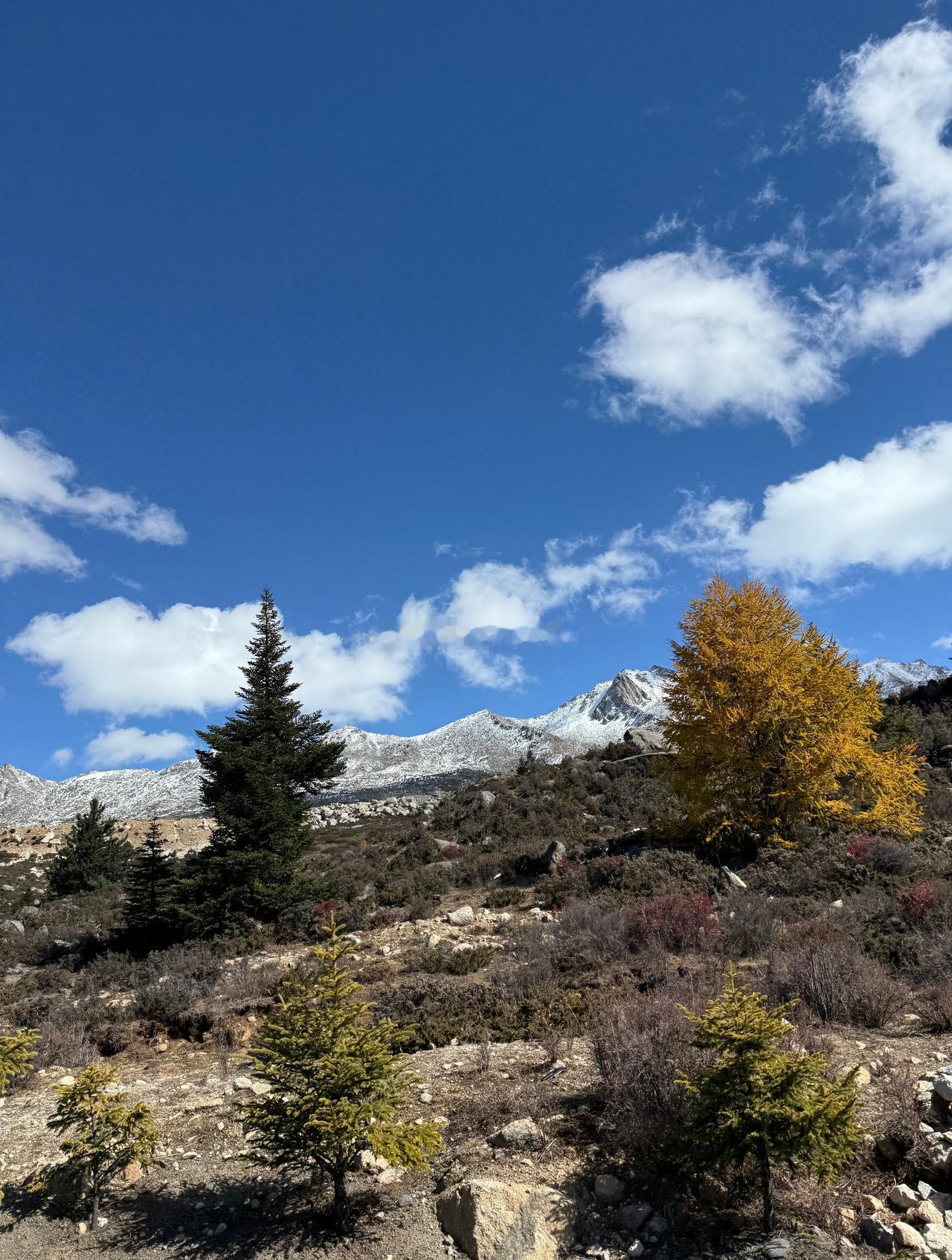 成都生活手记自驾游川西旅行秋假，川西走起，7点成都出发，一路向西！经历了14度