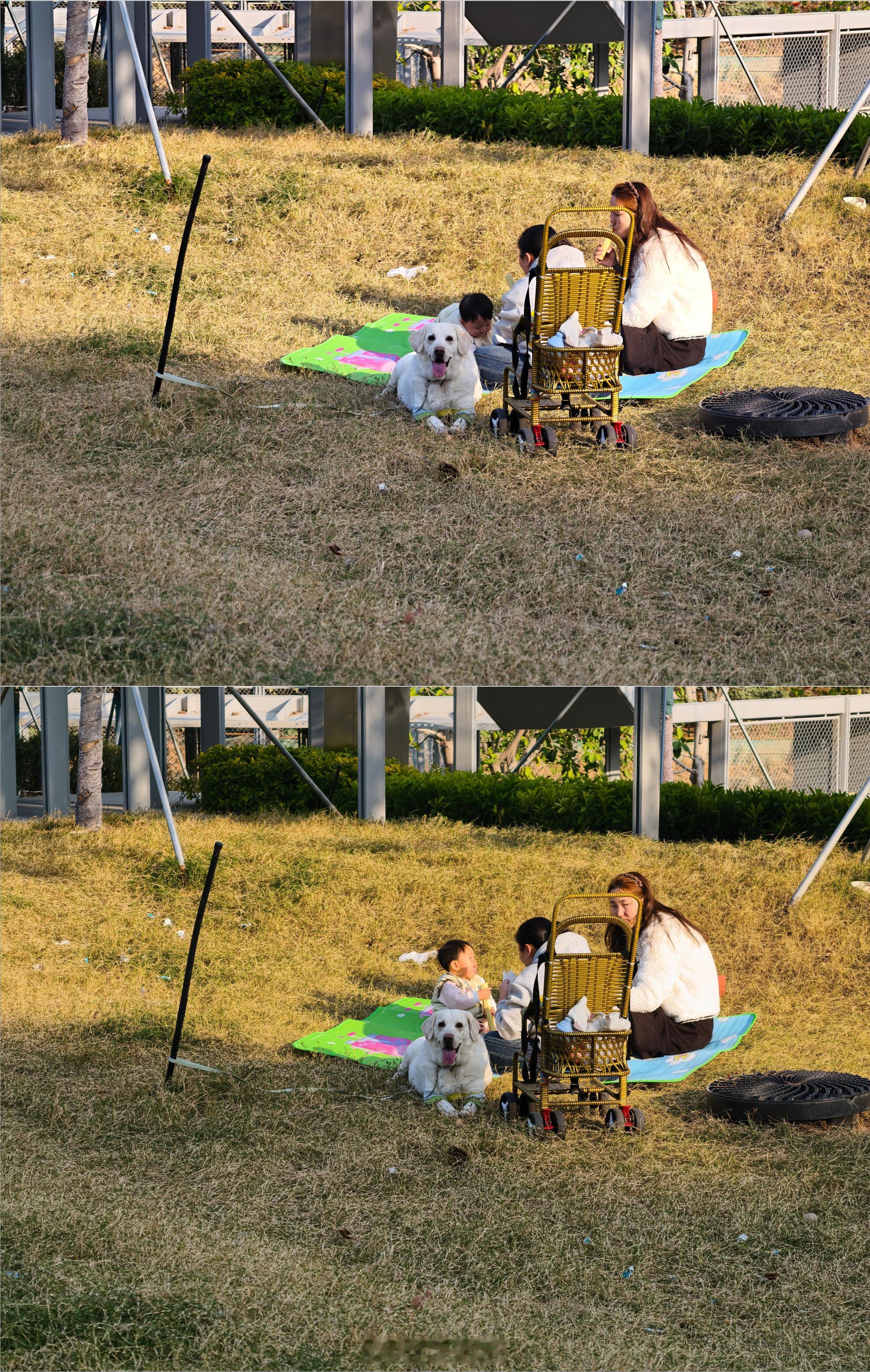 刚好昨天vivoX200Ultra更新了原生光影，这里特地来一个对比，对比