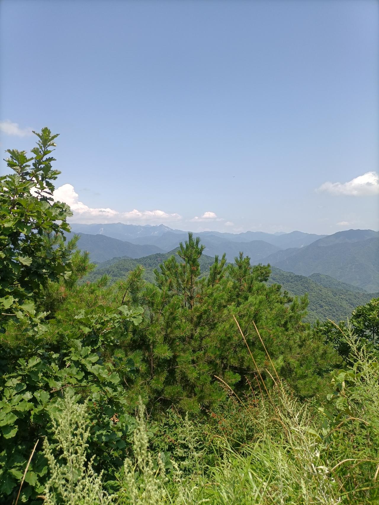【夏之韵·人生真正的归宿】夏日生活打卡季人生真正的归宿，是心地的清净和解脱。