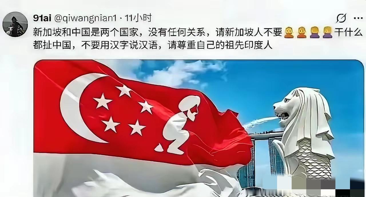 一张恶搞新加坡国旗再次引爆“印家坡”争论，新加坡火速全网封禁，反手扣帽子说来自“