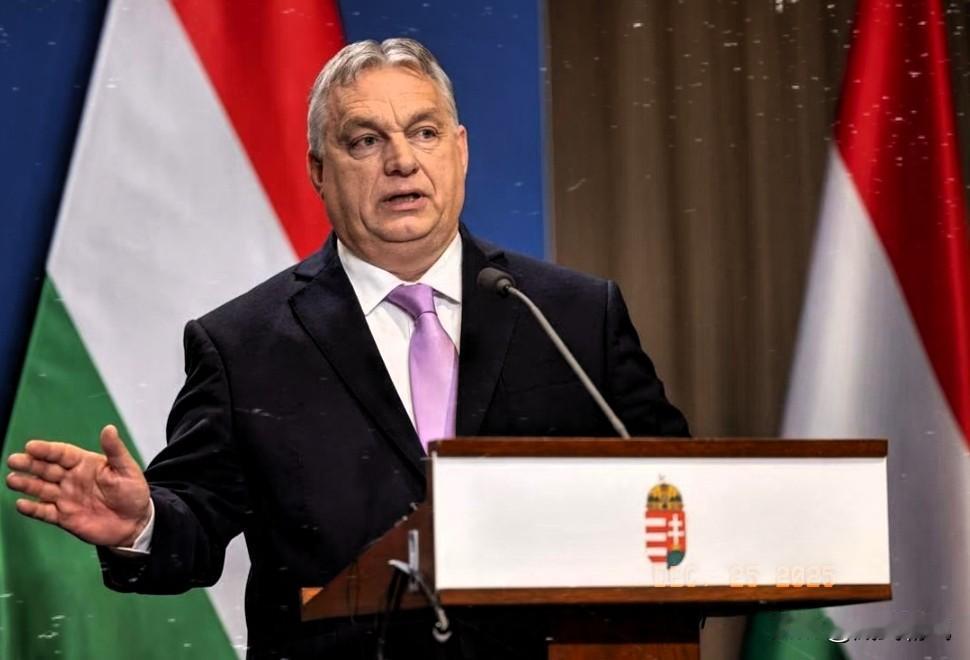 欧洲衰退的症结被欧尔班全盘全部指了出来！当地时间12月24日，匈牙利总理欧尔班接